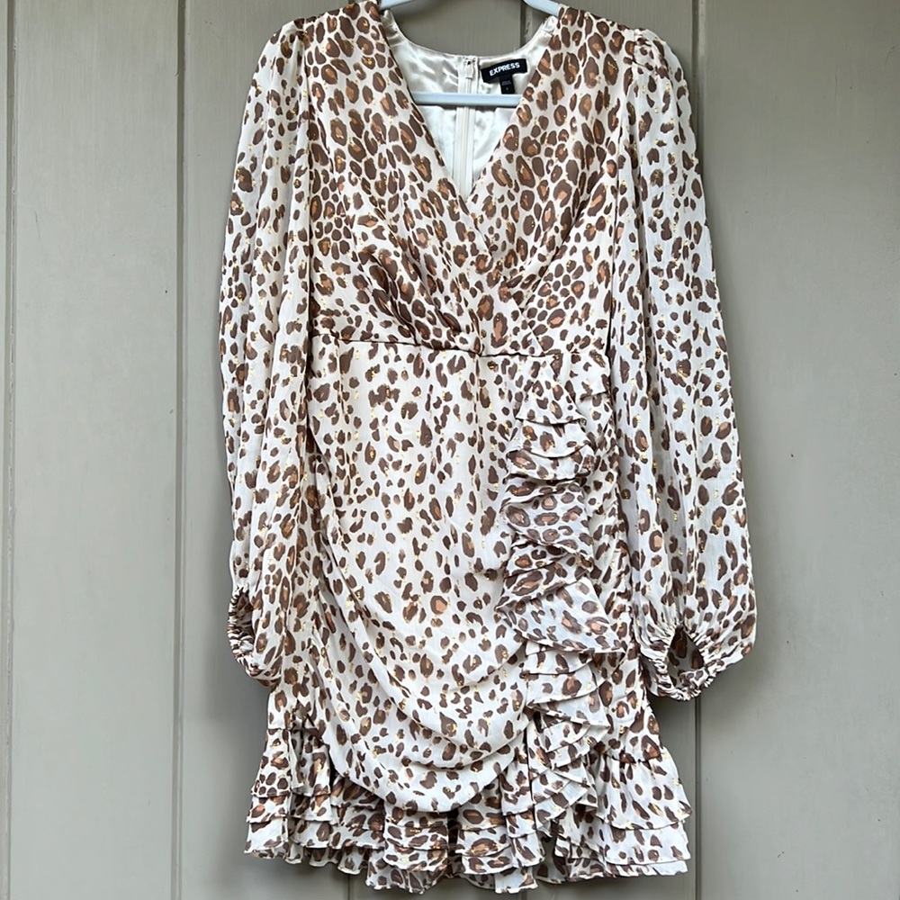 NWOT small. Ruffled mini dress. Back zip. Sheer sleeves